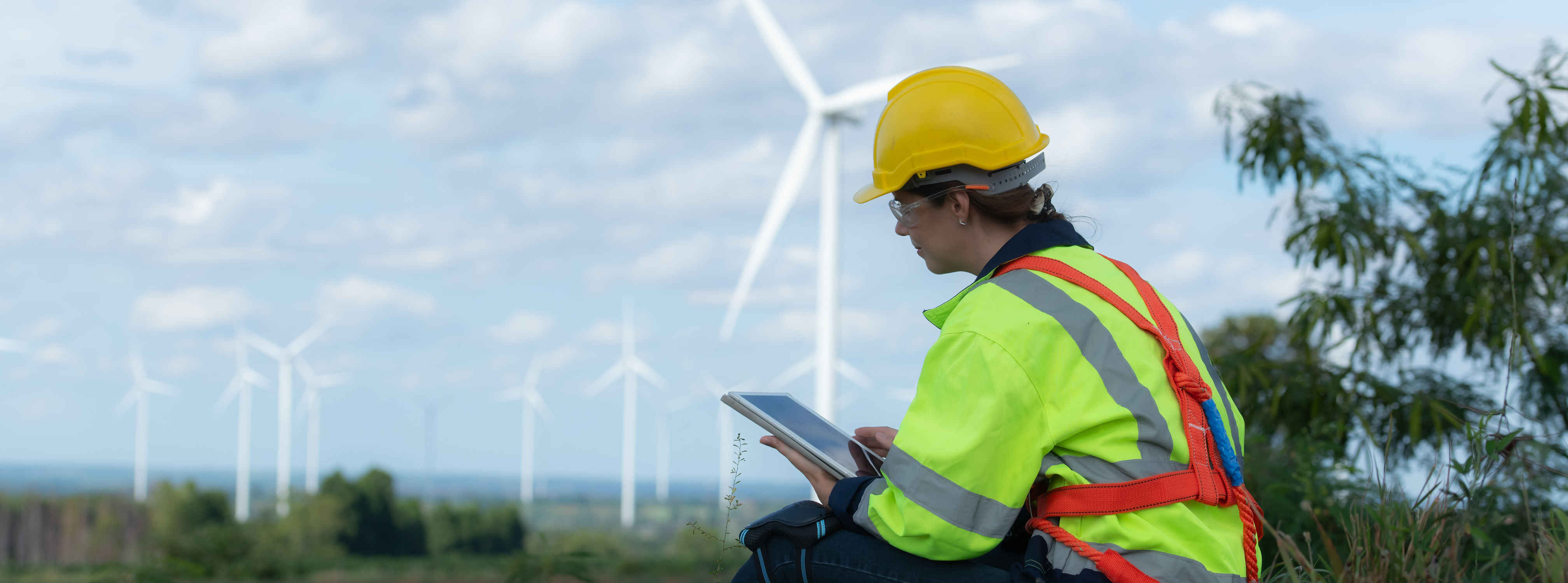 Consulenza ambientale